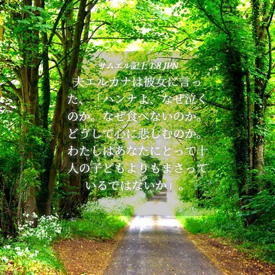 Picture 04 - サムエル記上 1:8 JPN - 夫エルカナは彼女に言った、「ハン - Bible Verse Picture