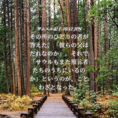 Picture 04 - サムエル記上 10:12 JPN - その所のひとりの者が答えた、「彼 - Bible Verse Picture