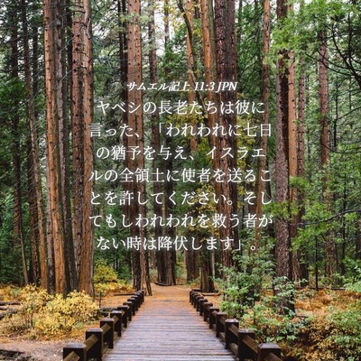 Picture 04 - サムエル記上 11:3 JPN - ヤベシの長老たちは彼に言った、「 - Bible Verse Picture