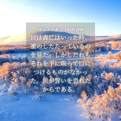 Picture 04 - サムエル記上 14:26 JPN - 民は森にはいった時、蜜のしたたっ - Bible Verse Picture