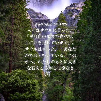 Picture 04 - サムエル記上 14:33 JPN - 人々はサウルに言った、「民は血の - Bible Verse Picture