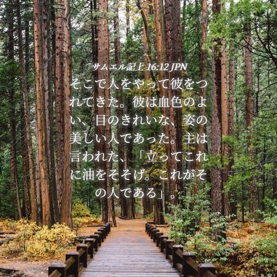 Picture 04 - サムエル記上 16:12 JPN - そこで人をやって彼をつれてきた。 - Bible Verse Picture