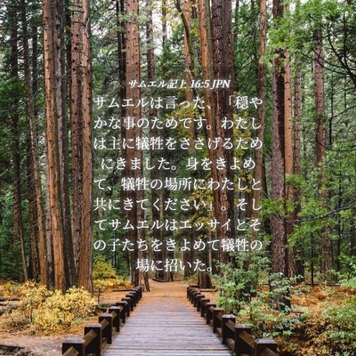 Picture 04 - サムエル記上 16:5 JPN - サムエルは言った、「穏やかな事の - Bible Verse Picture