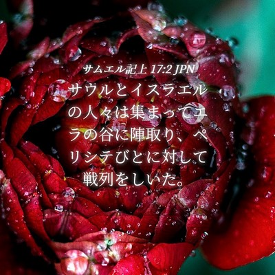 Picture 04 - サムエル記上 17:2 JPN - サウルとイスラエルの人々は集まっ - Bible Verse Picture