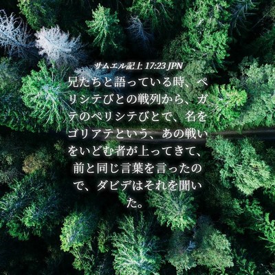 Picture 04 - サムエル記上 17:23 JPN - 兄たちと語っている時、ペリシテび - Bible Verse Picture