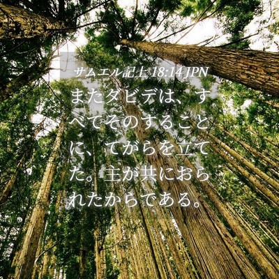 Picture 04 - サムエル記上 18:14 JPN - またダビデは、すべてそのすること - Bible Verse Picture