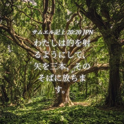Picture 04 - サムエル記上 20:20 JPN - わたしは的を射るようにして、矢を - Bible Verse Picture