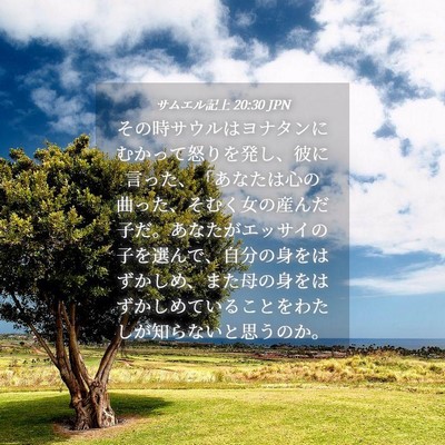 Picture 04 - サムエル記上 20:30 JPN - その時サウルはヨナタンにむかって - Bible Verse Picture