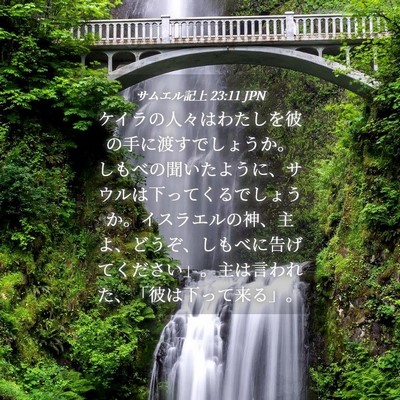 Picture 04 - サムエル記上 23:11 JPN - ケイラの人々はわたしを彼の手に渡 - Bible Verse Picture
