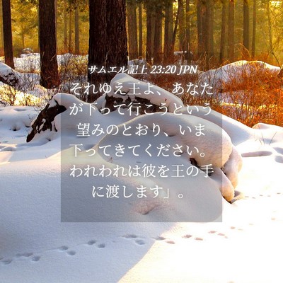 Picture 04 - サムエル記上 23:20 JPN - それゆえ王よ、あなたが下って行こ - Bible Verse Picture
