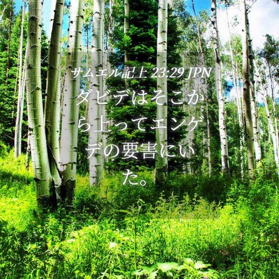 Picture 04 - サムエル記上 23:29 JPN - ダビデはそこから上ってエンゲデの - Bible Verse Picture