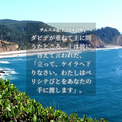 Picture 04 - サムエル記上 23:4 JPN - ダビデが重ねて主に問うたところ、 - Bible Verse Picture
