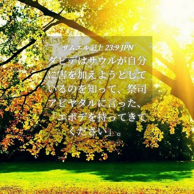 Picture 04 - サムエル記上 23:9 JPN - ダビデはサウルが自分に害を加えよ - Bible Verse Picture