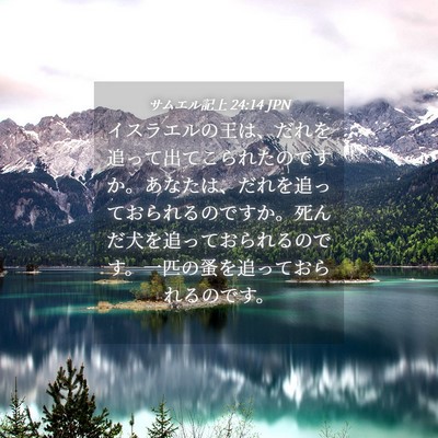 Picture 04 - サムエル記上 24:14 JPN - イスラエルの王は、だれを追って出 - Bible Verse Picture