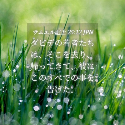 Picture 04 - サムエル記上 25:12 JPN - ダビデの若者たちは、そこを去り、 - Bible Verse Picture
