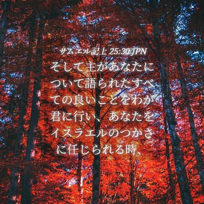 Picture 04 - サムエル記上 25:30 JPN - そして主があなたについて語られた - Bible Verse Picture