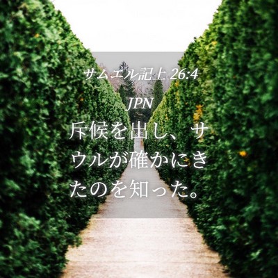 Picture 04 - サムエル記上 26:4 JPN - 斥候を出し、サウルが確かにきたの - Bible Verse Picture