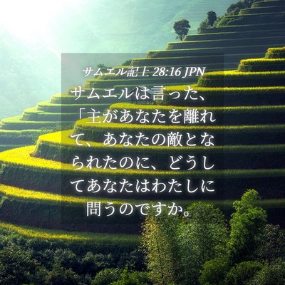 Picture 04 - サムエル記上 28:16 JPN - サムエルは言った、「主があなたを - Bible Verse Picture