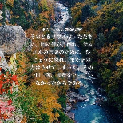Picture 04 - サムエル記上 28:20 JPN - そのときサウルは、ただちに、地に - Bible Verse Picture