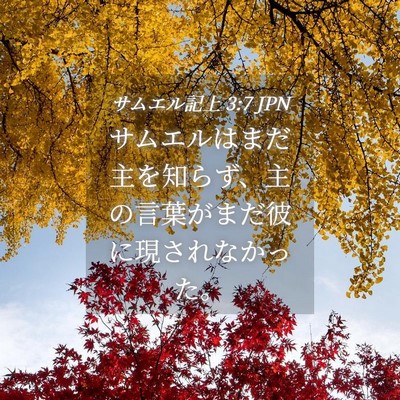 Picture 04 - サムエル記上 3:7 JPN - サムエルはまだ主を知らず、主の言 - Bible Verse Picture