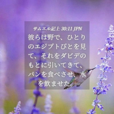 Picture 04 - サムエル記上 30:11 JPN - 彼らは野で、ひとりのエジプトびと - Bible Verse Picture