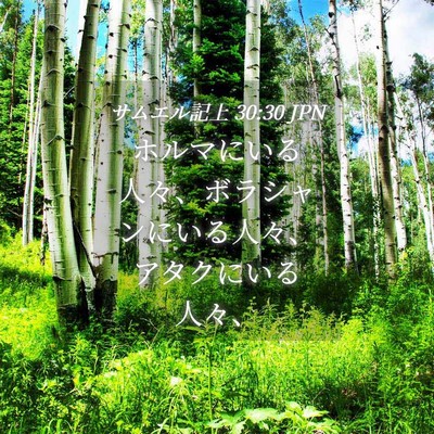 Picture 04 - サムエル記上 30:30 JPN - ホルマにいる人々、ボラシャンにい - Bible Verse Picture