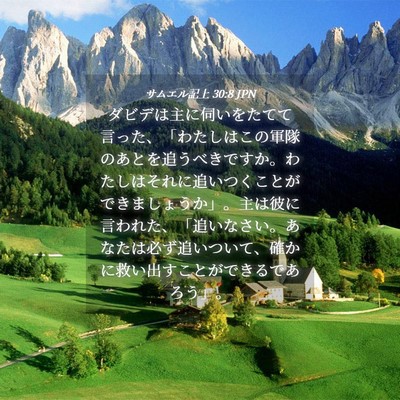 Picture 04 - サムエル記上 30:8 JPN - ダビデは主に伺いをたてて言った、 - Bible Verse Picture