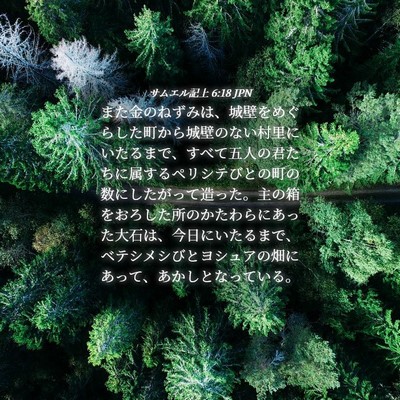 Picture 04 - サムエル記上 6:18 JPN - また金のねずみは、城壁をめぐらし - Bible Verse Picture