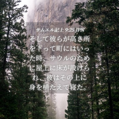 Picture 04 - サムエル記上 9:25 JPN - そして彼らが高き所を下って町には - Bible Verse Picture