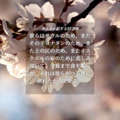 Picture 04 - サムエル記下 1:12 JPN - 彼らはサウルのため、またその子ヨ - Bible Verse Picture