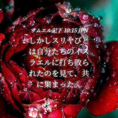 Picture 04 - サムエル記下 10:15 JPN - しかしスリヤびとは自分たちのイス - Bible Verse Picture