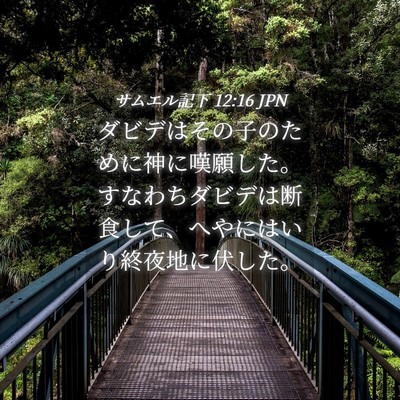 Picture 04 - サムエル記下 12:16 JPN - ダビデはその子のために神に嘆願し - Bible Verse Picture