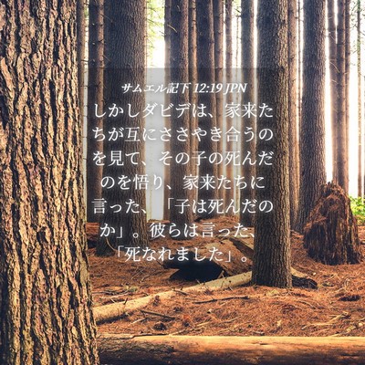 Picture 04 - サムエル記下 12:19 JPN - しかしダビデは、家来たちが互にさ - Bible Verse Picture