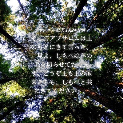 Picture 04 - サムエル記下 13:24 JPN - そしてアブサロムは王のもとにきて - Bible Verse Picture