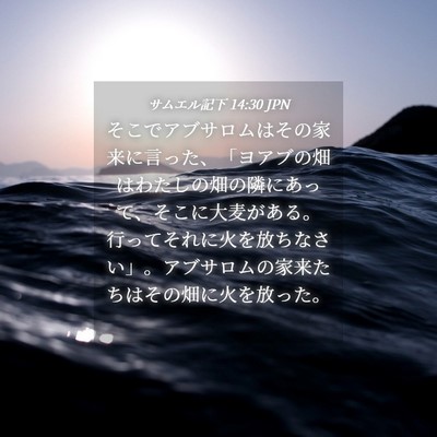 Picture 04 - サムエル記下 14:30 JPN - そこでアブサロムはその家来に言っ - Bible Verse Picture