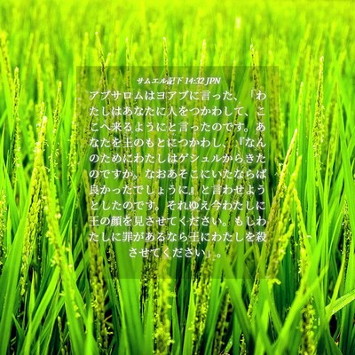 Picture 04 - サムエル記下 14:32 JPN - アブサロムはヨアブに言った、「わ - Bible Verse Picture