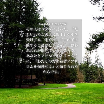 Picture 04 - サムエル記下 18:12 JPN - その人はヨアブに言った、「たとい - Bible Verse Picture