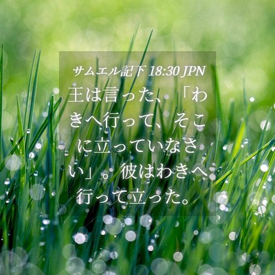 Picture 04 - サムエル記下 18:30 JPN - 王は言った、「わきへ行って、そこ - Bible Verse Picture