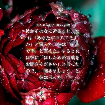 Picture 04 - サムエル記下 20:17 JPN - 彼がその女に近寄ると、女は「あな - Bible Verse Picture