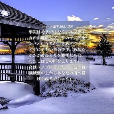 Picture 04 - サムエル記下 20:21 JPN - 事実はそうではなく、エフライムの - Bible Verse Picture