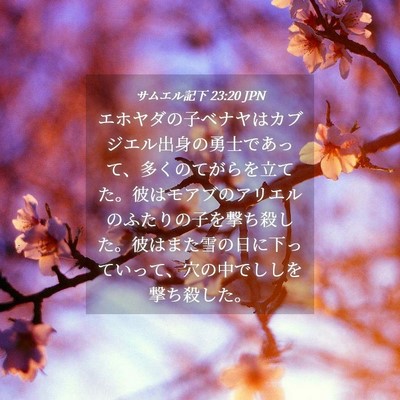 Picture 04 - サムエル記下 23:20 JPN - エホヤダの子ベナヤはカブジエル出 - Bible Verse Picture