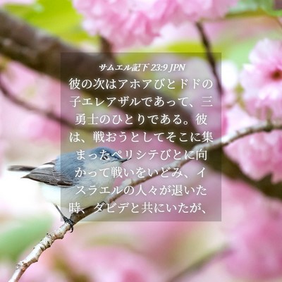 Picture 04 - サムエル記下 23:9 JPN - 彼の次はアホアびとドドの子エレア - Bible Verse Picture