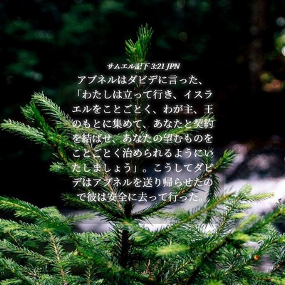 Picture 04 - サムエル記下 3:21 JPN - アブネルはダビデに言った、「わた - Bible Verse Picture