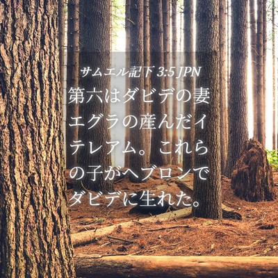 Picture 04 - サムエル記下 3:5 JPN - 第六はダビデの妻エグラの産んだイ - Bible Verse Picture