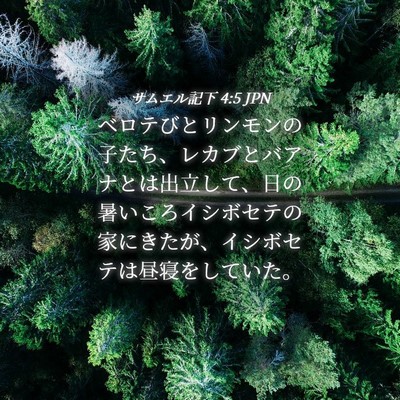 Picture 04 - サムエル記下 4:5 JPN - ベロテびとリンモンの子たち、レカ - Bible Verse Picture