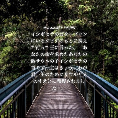 Picture 04 - サムエル記下 4:8 JPN - イシボセテの首をヘブロンにいるダ - Bible Verse Picture