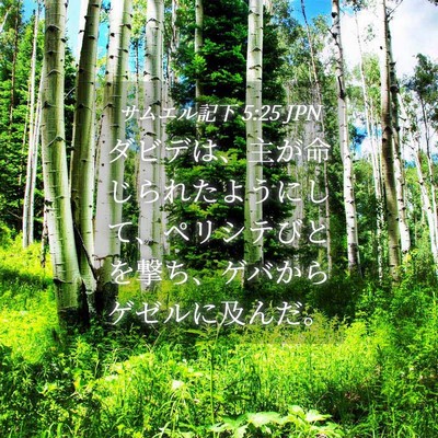 Picture 04 - サムエル記下 5:25 JPN - ダビデは、主が命じられたようにし - Bible Verse Picture