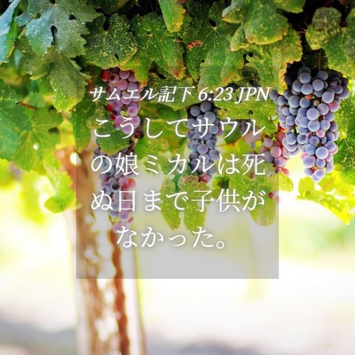Picture 04 - サムエル記下 6:23 JPN - こうしてサウルの娘ミカルは死ぬ日 - Bible Verse Picture