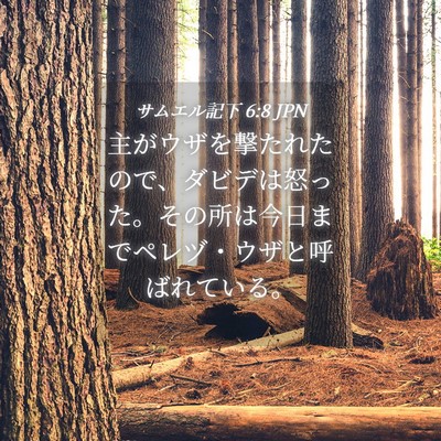 Picture 04 - サムエル記下 6:8 JPN - 主がウザを撃たれたので、ダビデは - Bible Verse Picture