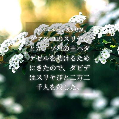 Picture 04 - サムエル記下 8:5 JPN - ダマスコのスリヤびとが、ゾバの王 - Bible Verse Picture